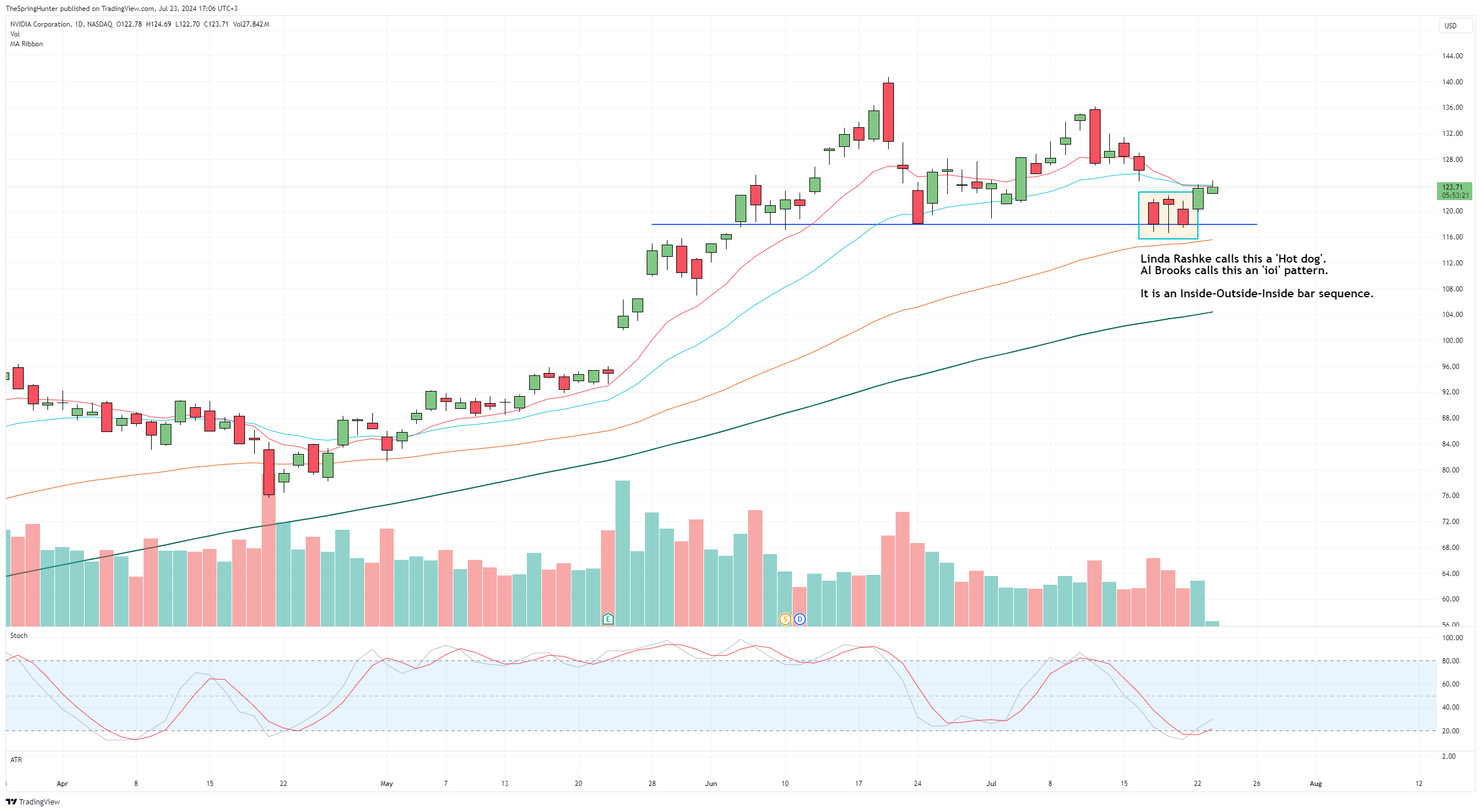 NVDA Daily Spring - Weekend Trader Update